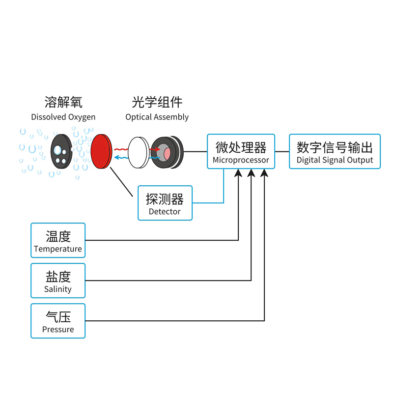 在线荧光法溶氧传感器工作原理